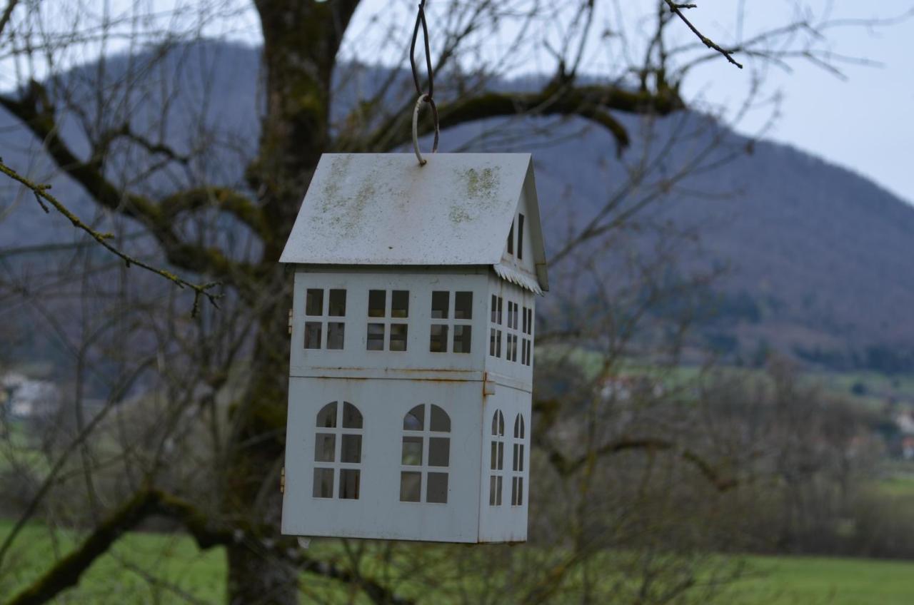 Apartma Nika Planina  Extérieur photo