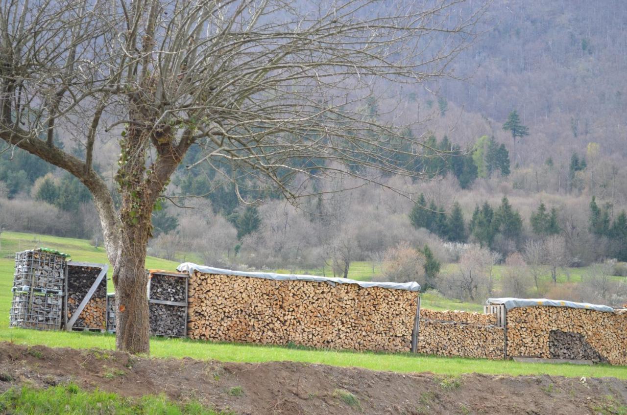 Apartma Nika Planina  Extérieur photo
