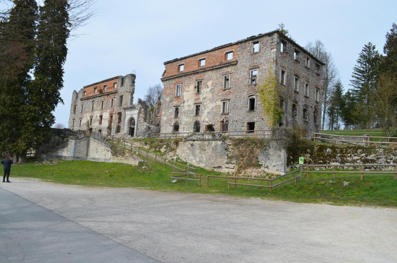 Apartma Nika Planina  Extérieur photo