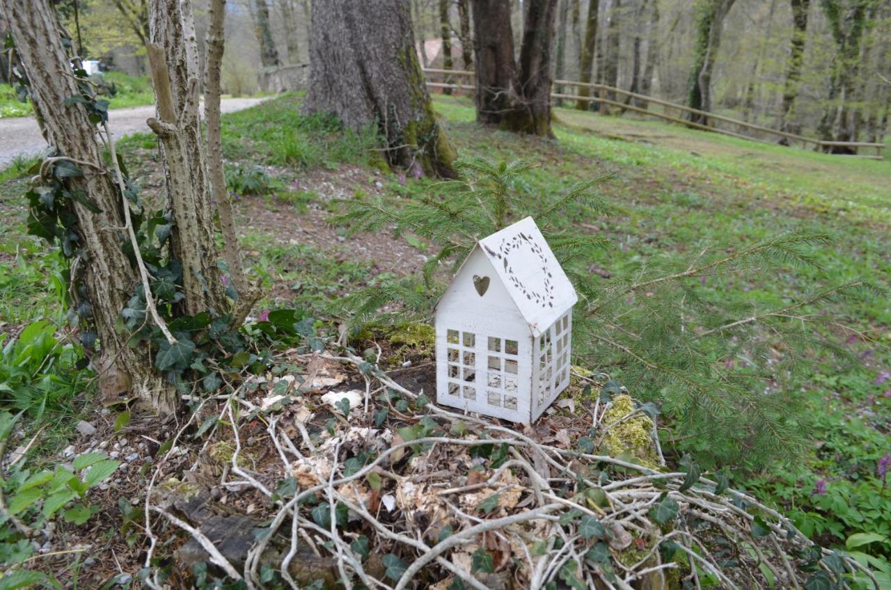Apartma Nika Planina  Extérieur photo